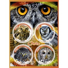 Fauna Owls